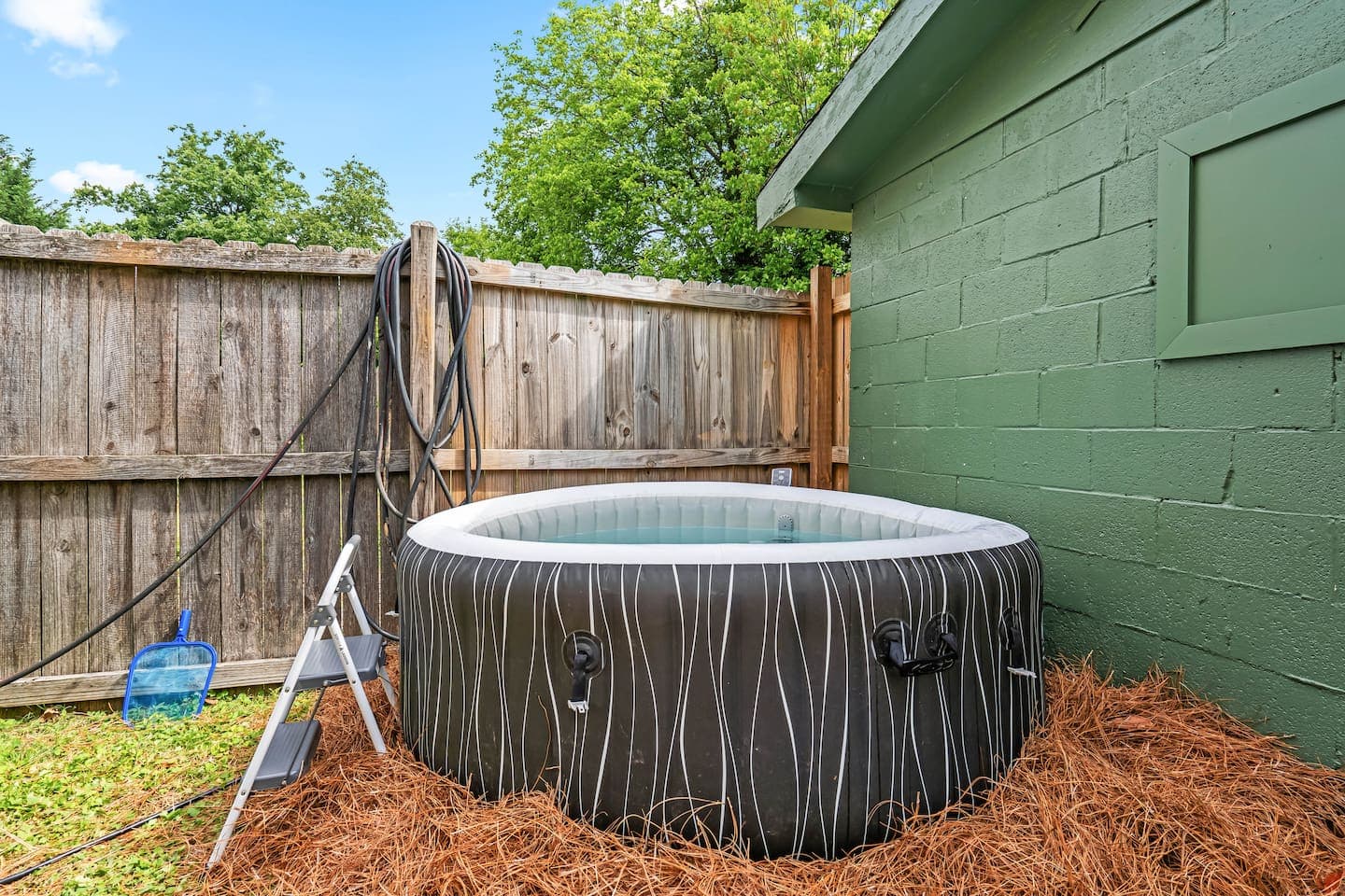 The Duke Bohemian photo 5