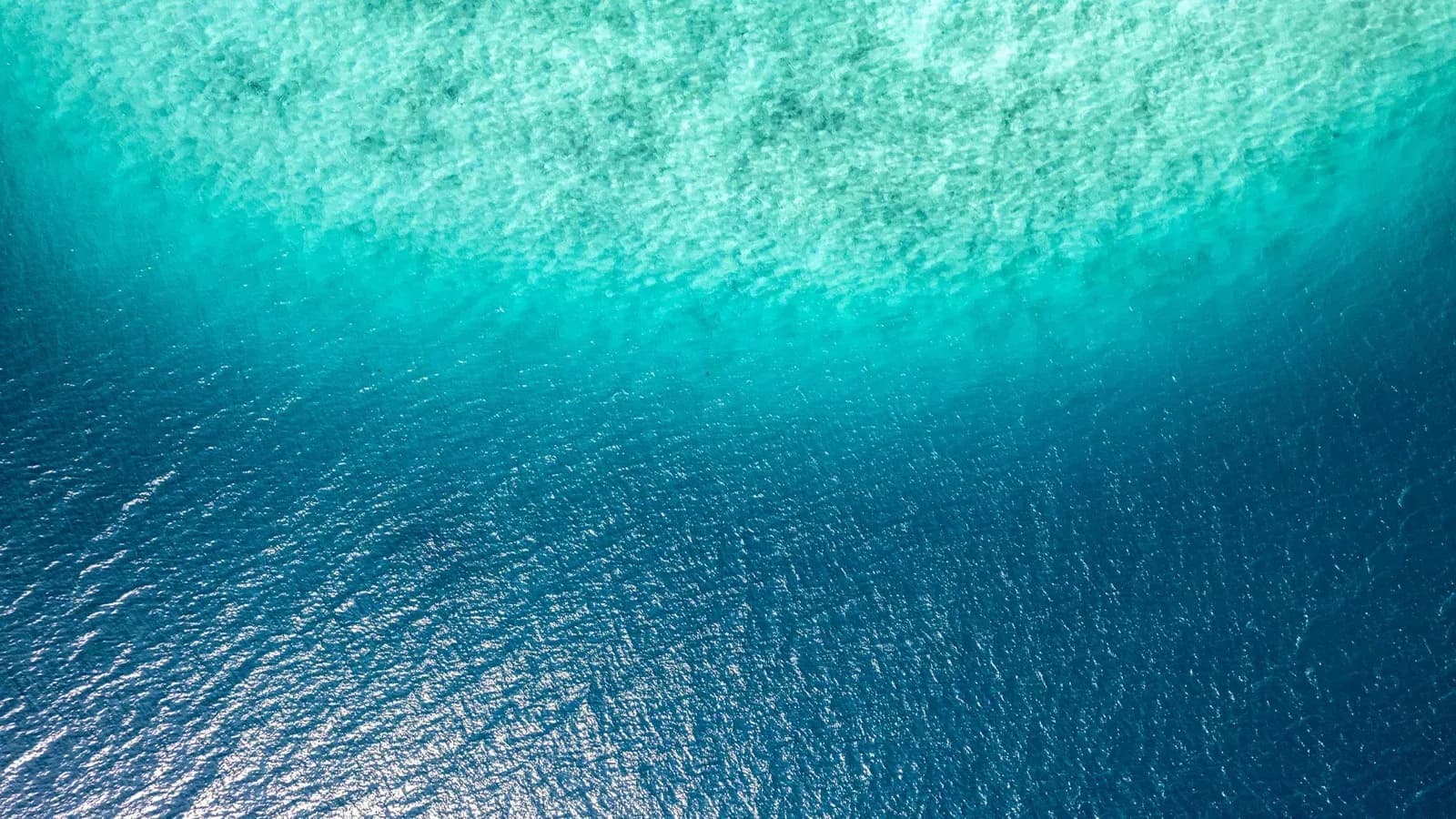 Aerial view of South Florida coastline near Pompano Beach